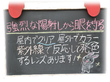 画像の説明