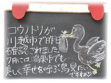 画像の説明