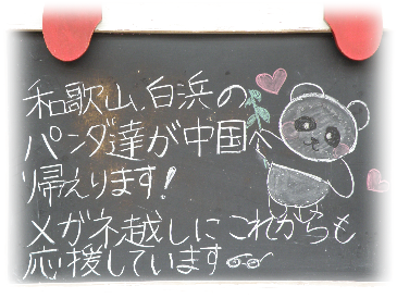 画像の説明