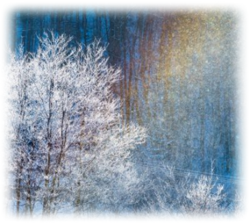 画像の説明 画像の説明