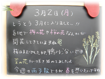 画像の説明 画像の説明