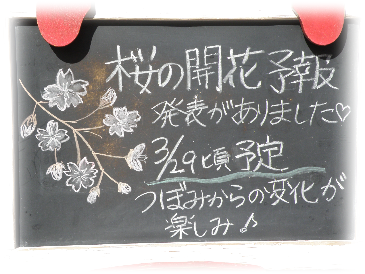 画像の説明