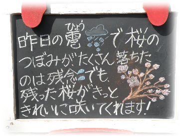 画像の説明