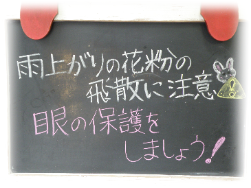 画像の説明