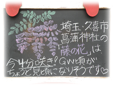 画像の説明