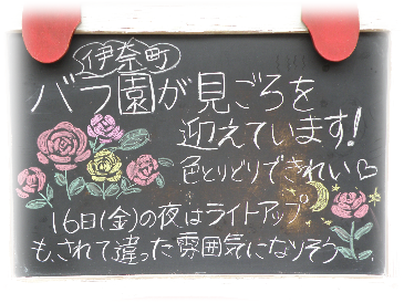画像の説明