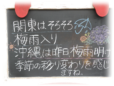画像の説明
