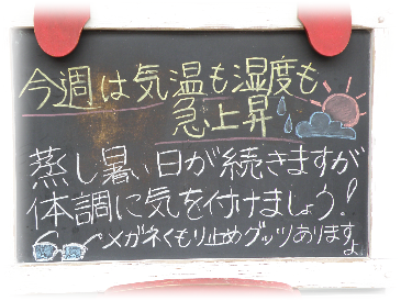 画像の説明