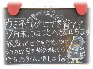 画像の説明